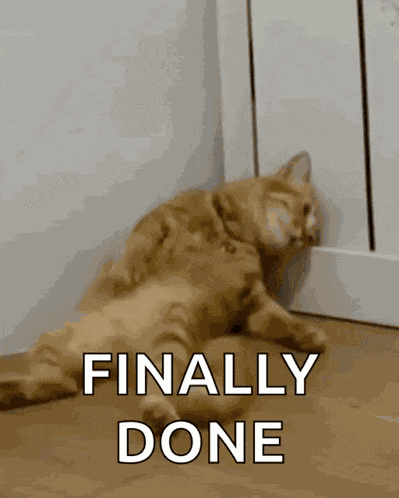 Sad Cat GIF