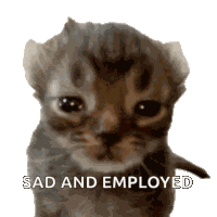 Sad Crying Cat Meme Sticker