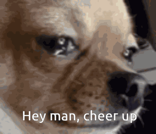 Sad Dog Sad Sog Meme GIF