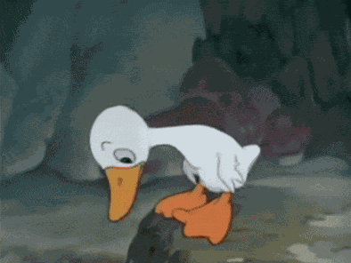 Sad Duck GIF