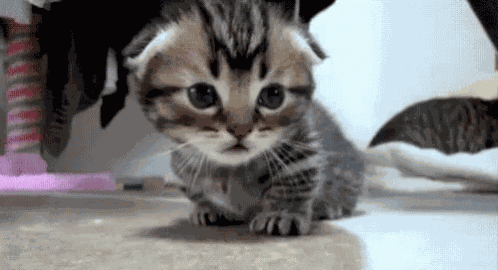 Sad GIF
