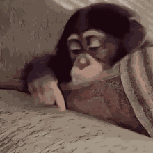 Sad Monkey GIF