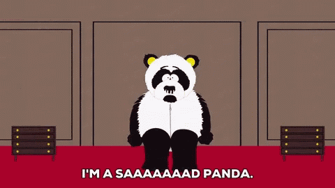 Sad Panda South Park GIF