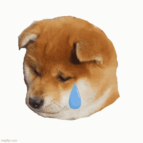 Sad Sad Puppy GIF