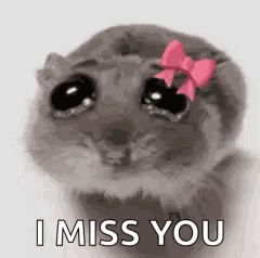 Sadhamstergirl GIF