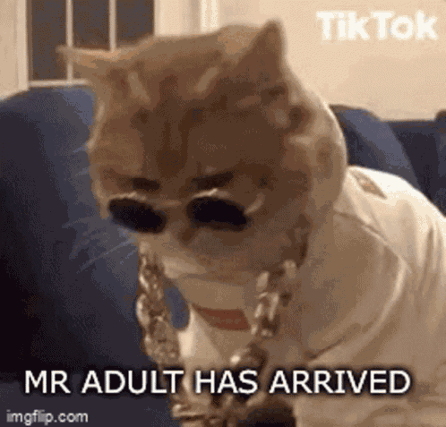 Safemoon Adult GIF