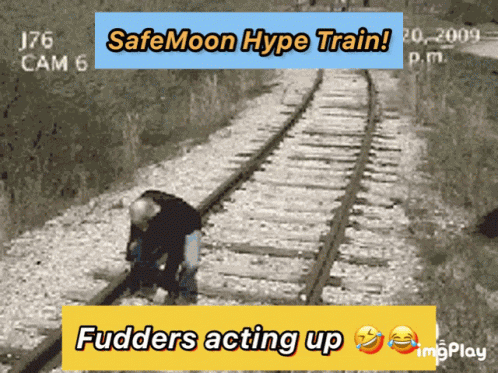 Safemoon Hype Train GIF