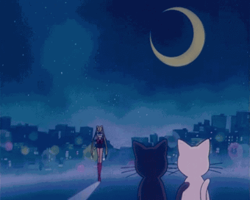 Sailor Moon Luna GIF