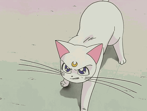 Sailor Moon White GIF