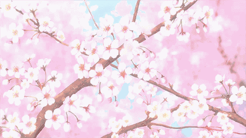 Sakura Anime GIF