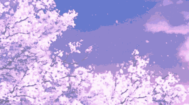 Sakura Cherry Blossoms GIF