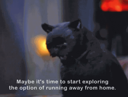 Salem Cat Salem Sabrina GIF