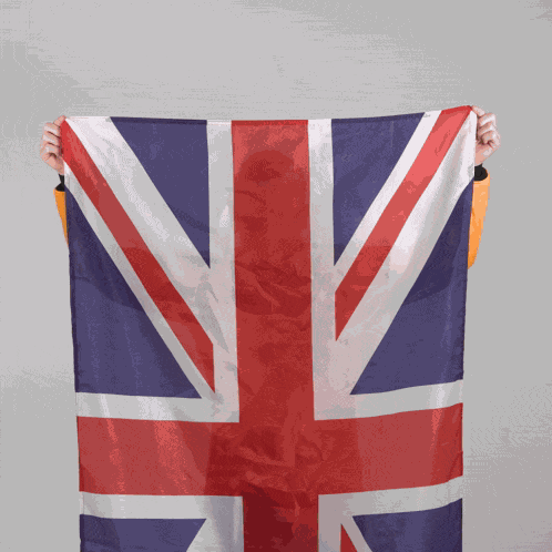 Sam Bird Union Jack GIF