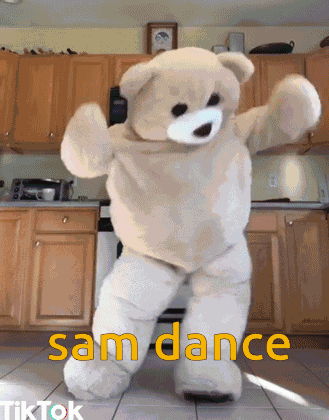 Sam Dance Skibidi GIF