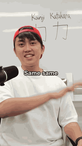 Same Same But Different GIF