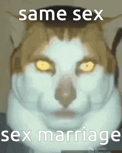 Same Sex Marriage Gay GIF