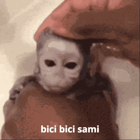Sami Bici Bici Sami GIF