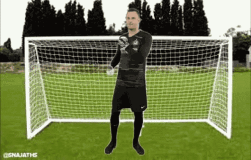Samir Handanovic GIF