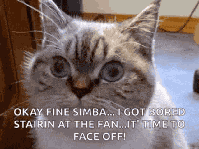 Samuel Jackson Cat GIF