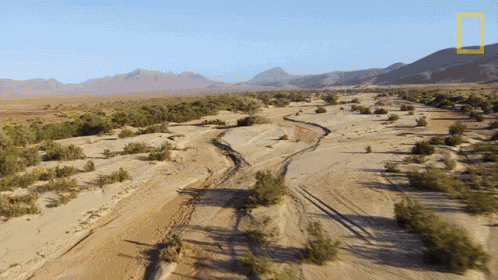 Sand Rivers Protecting The Black Rhinos GIF