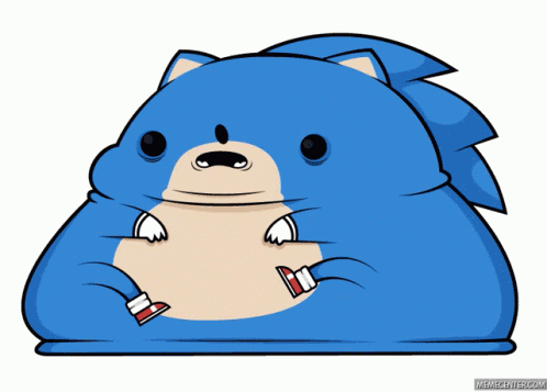 Sanic Gotta Go Fast GIF
