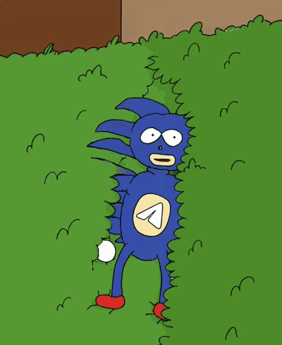 Sanic Sonic GIF