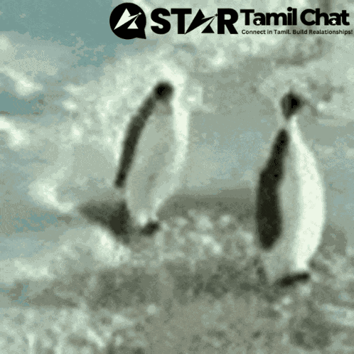 Sanjay Chat Tamil Chat GIF