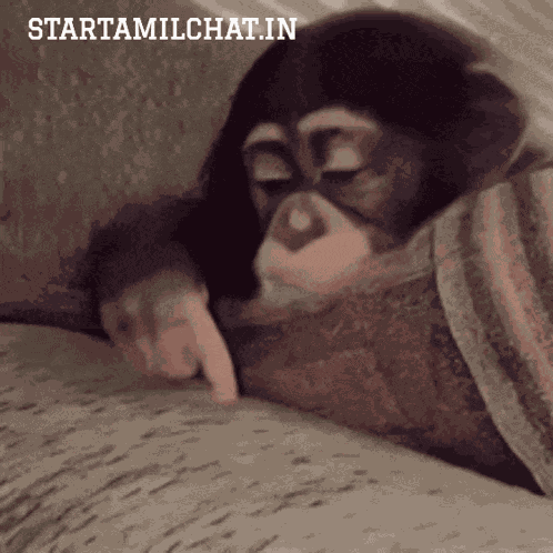 Sanjay Chat Tamil Chat GIF