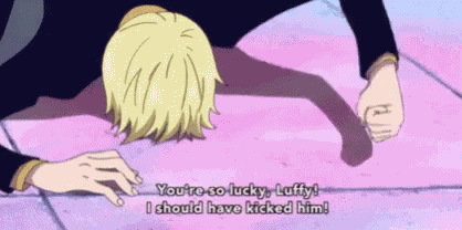 Sanji I Should Have Kicked Him GIF