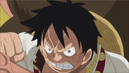 Sanji Luffy GIF