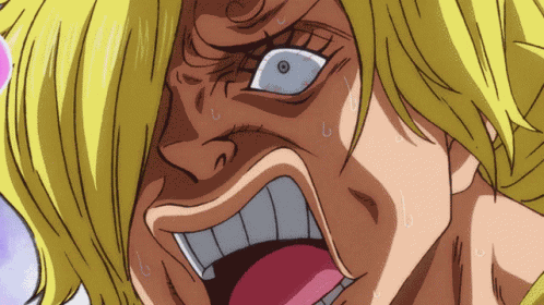 Sanji Onepiece GIF