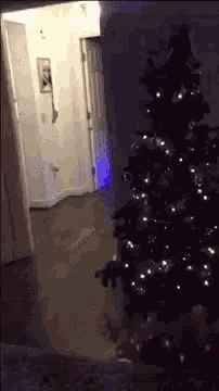 Santa Fail GIF