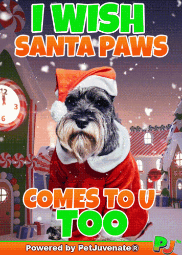 Santa Santa Paws GIF
