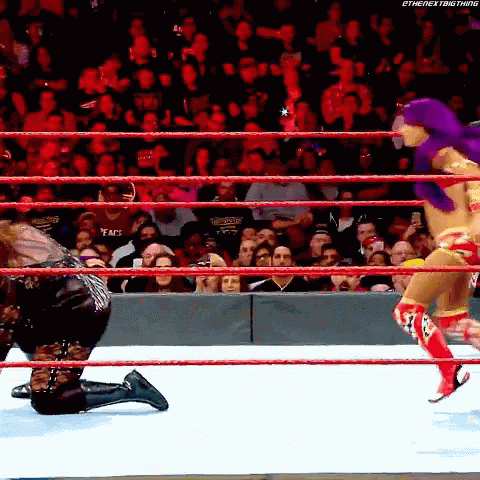 Sasha Banks Bulldog GIF