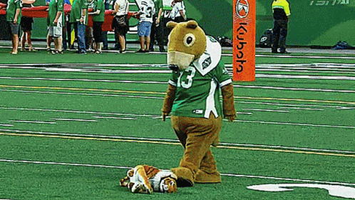 Saskatchewan Roughriders Gainer The Gopher GIF