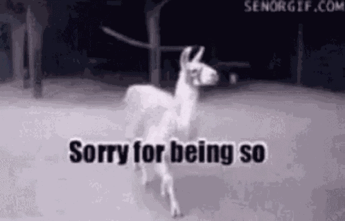 Sassy Funny GIF