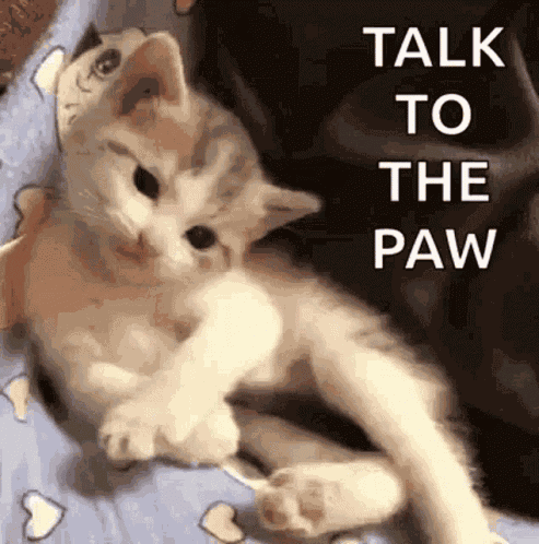 Sassy Funny GIF