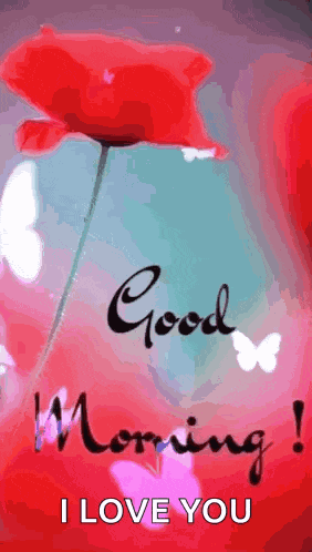 Saturday Blessings GIF