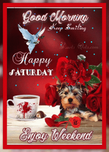 Saturday Happy GIF