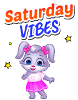 Saturday Saturday Vibes Sticker