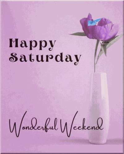 Saturday GIF