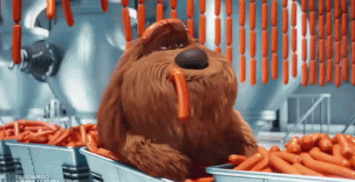 Sausage GIF