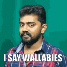 Say Wallabies Say Wallahi GIF