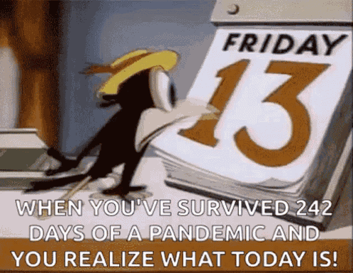 Scared Black Crow GIF