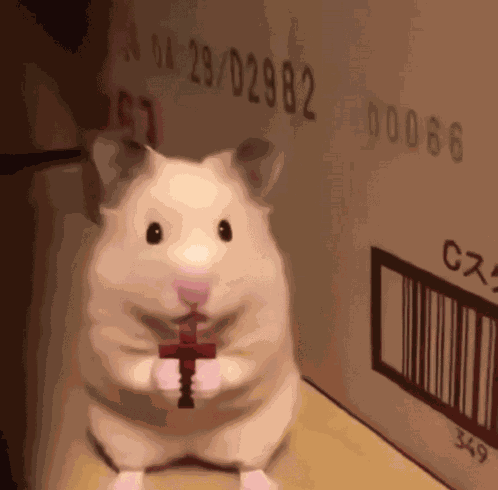 Scared Hamster Hamster Cross GIF