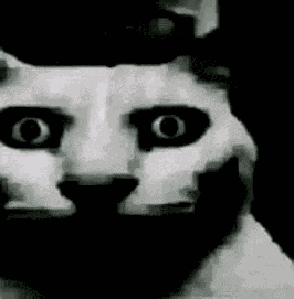 Scary Cat Meme