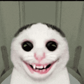 Scary Cat GIF