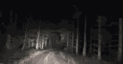 Scary GIF