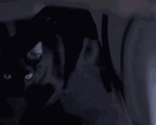 Scary Movie Scary Movie 2 GIF