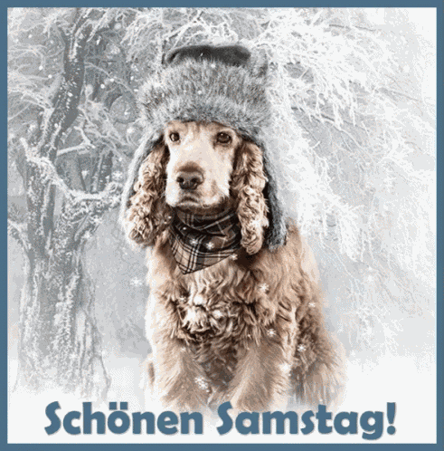 Schönen Samstag GIF